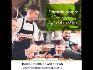 CURSO ONLINE DE CAMARERO PROFESIONAL